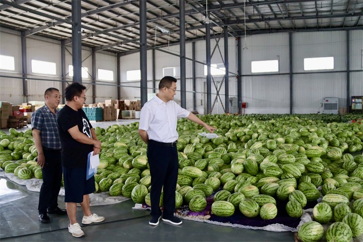 集團公司到龍泉農(nóng)產(chǎn)品集采集配中心調研